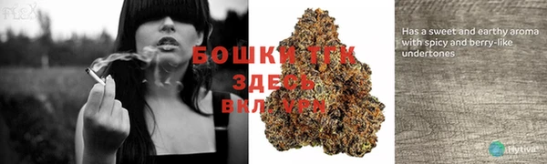 спиды Каменск-Шахтинский