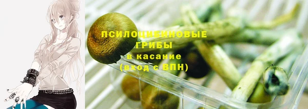твердый Каменка