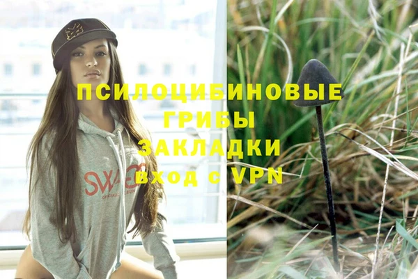 твердый Каменка